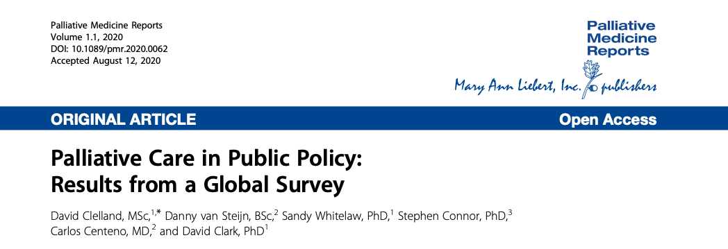 Palliative Care in Public Policy: Results from a Global Survey