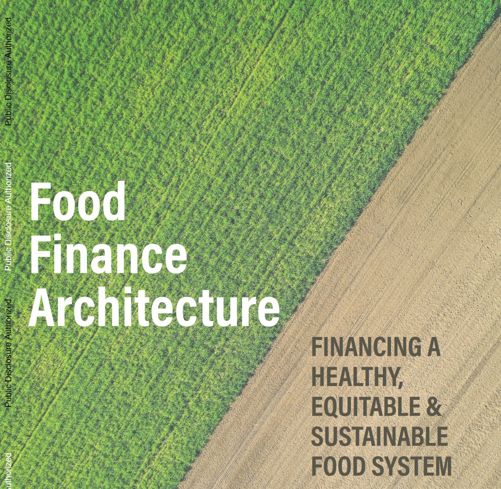 Arquitectura de financiamiento de alimentos: financiamiento de un sistema alimentario saludable, equitativo y sostenible (inglés)