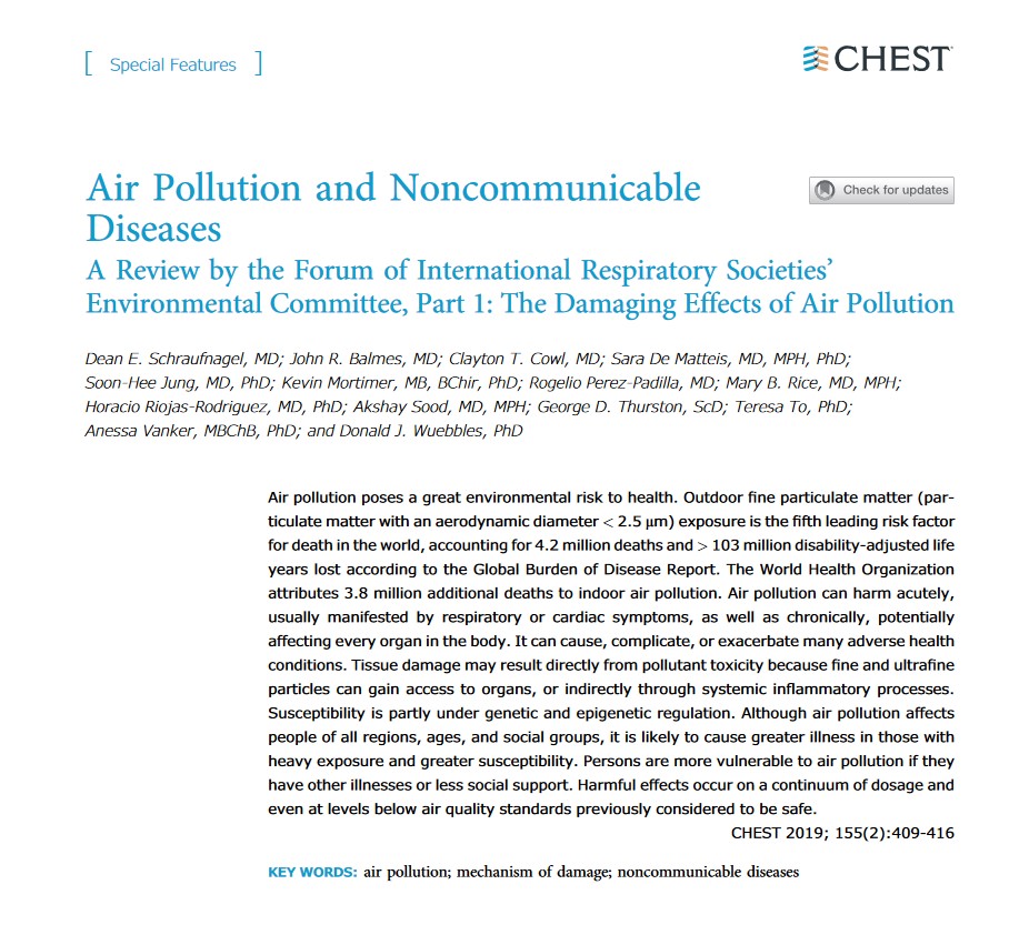 A Review by the Forum of International Respiratory Societies’ Environmental Committee, Part 1: The Damaging Effects of Air Pollution