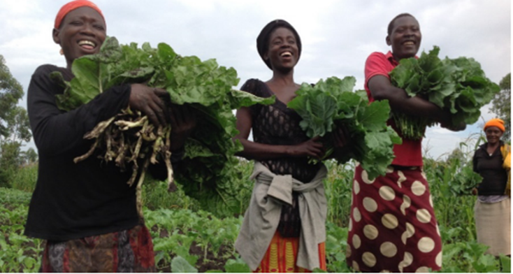 

<!-- THEME DEBUG -->
<!-- THEME HOOK: 'field' -->
<!-- FILE NAME SUGGESTIONS:
   ▪️ field--node--title--community-noticeboard.html.twig
   ✅ field--node--title.html.twig
   ▪️ field--node--community-noticeboard.html.twig
   ▪️ field--title.html.twig
   ▪️ field--string.html.twig
   ▪️ field.html.twig
-->
<!-- 💡 BEGIN CUSTOM TEMPLATE OUTPUT from 'themes/custom/whokap/templates/field/field--node--title.html.twig' -->
Feminist, rights-based solutions to address NCDs: Scaling-up grassroots innovations to create equitable solutions for NCD prevention and control
<!-- END CUSTOM TEMPLATE OUTPUT from 'themes/custom/whokap/templates/field/field--node--title.html.twig' -->

