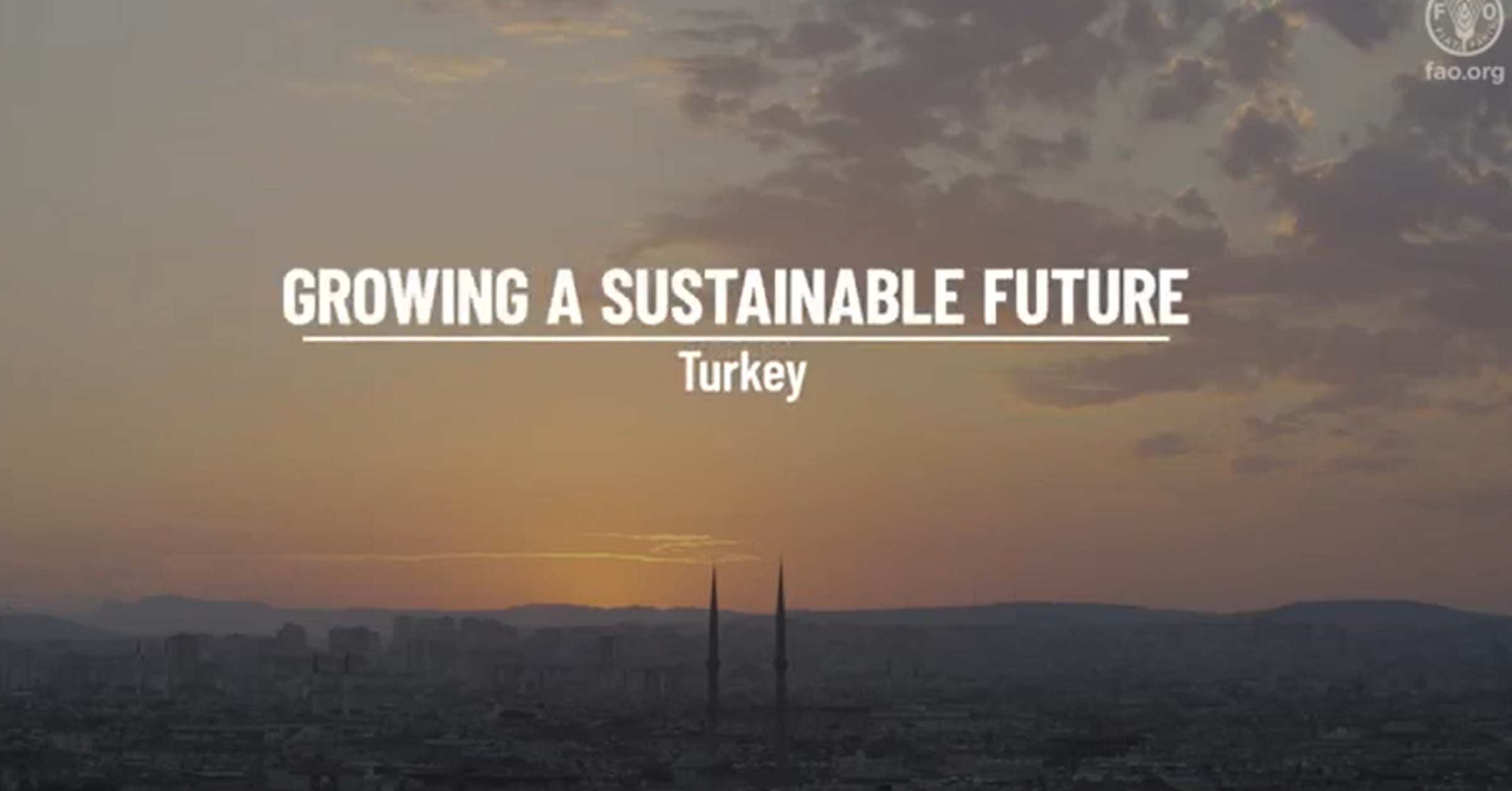 Growing a sustainable future - Turkey 