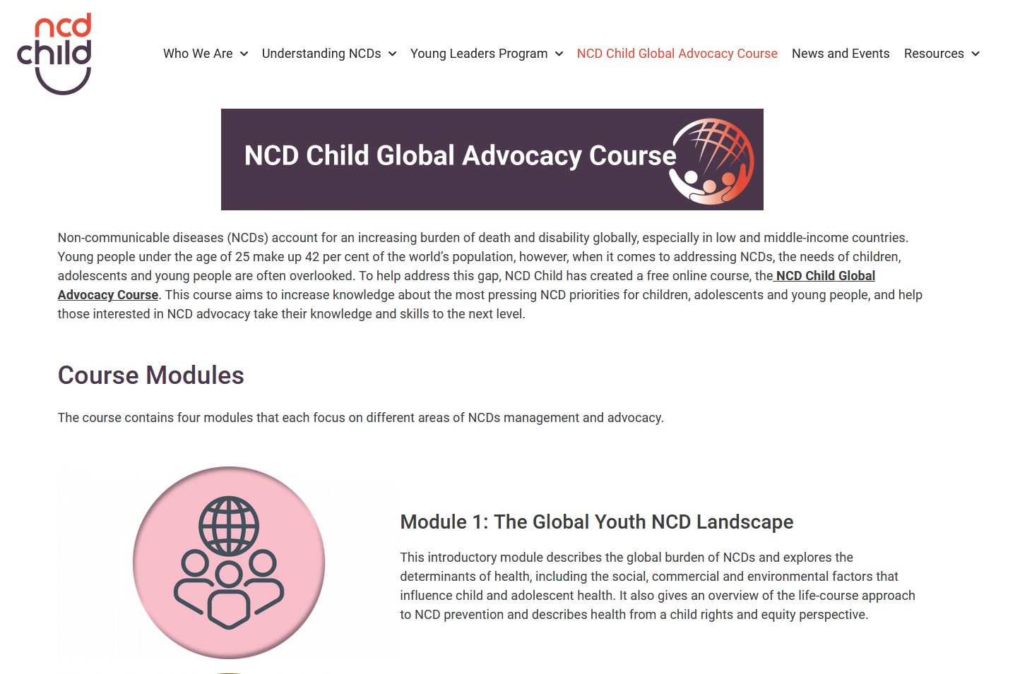 NCD Child Global Advocacy Course