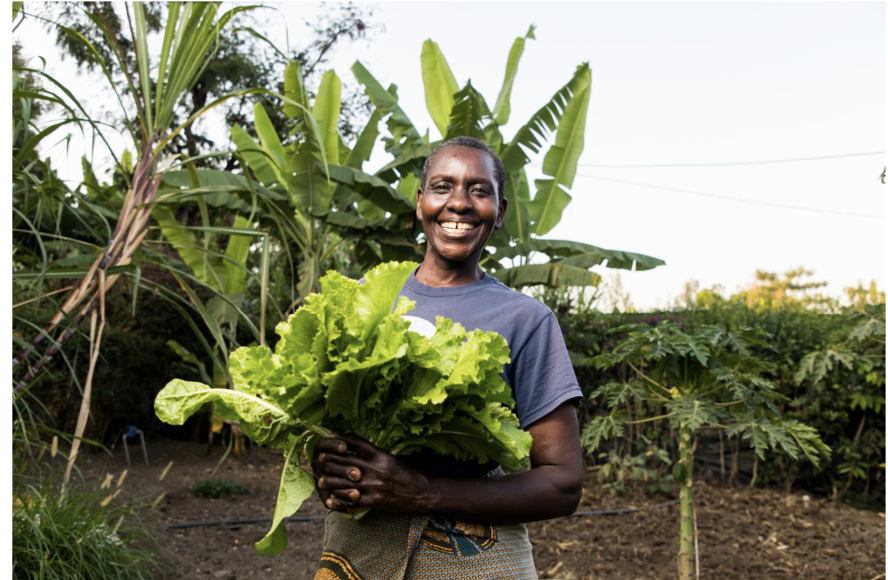 Driving equitable action on NCDs and healthy ageing to achieve health for all at all ages