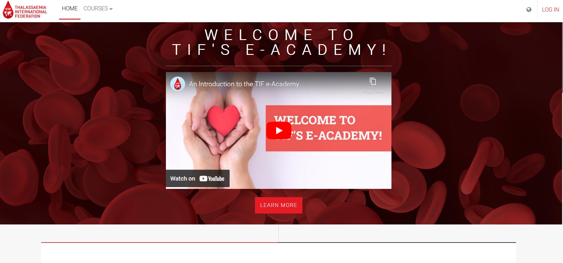 TIF e-Academy
